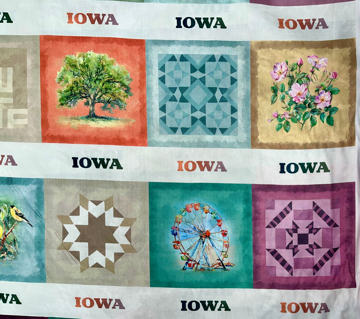 2025 All Iowa Shop Hop Iconic Iowa 54627-1